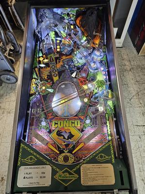 1995 Williams Congo Pinball Machine Image