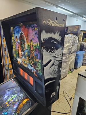 1995 Williams Congo Pinball Machine Image