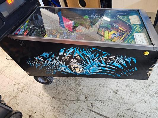 1995 Williams Congo Pinball Machine Image