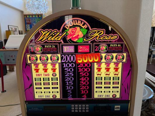 2001 Bally Double Wild Rose S6000 Reel Slot Machine Image