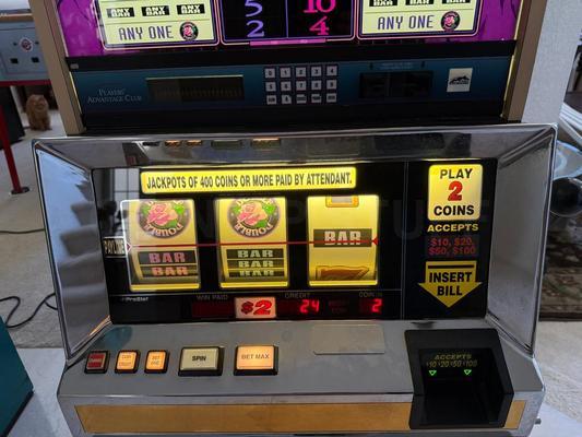 2001 Bally Double Wild Rose S6000 Reel Slot Machine Image