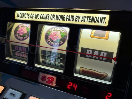 2001 Bally Double Wild Rose S6000 Reel Slot Machine Image