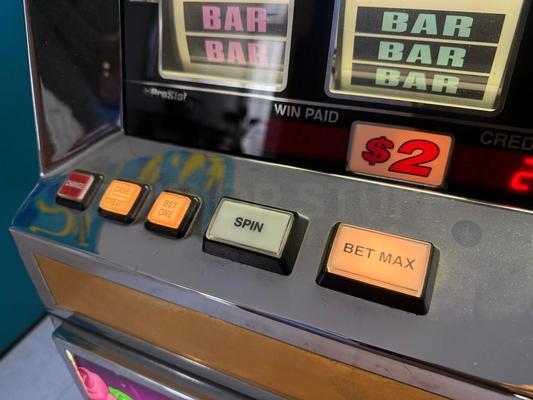 2001 Bally Double Wild Rose S6000 Reel Slot Machine Image