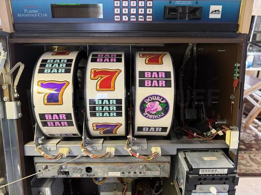 2001 Bally Double Wild Rose S6000 Reel Slot Machine Image