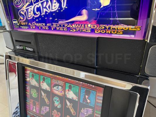 2001 IGT Elvira's Secret Video Slot Machine Image