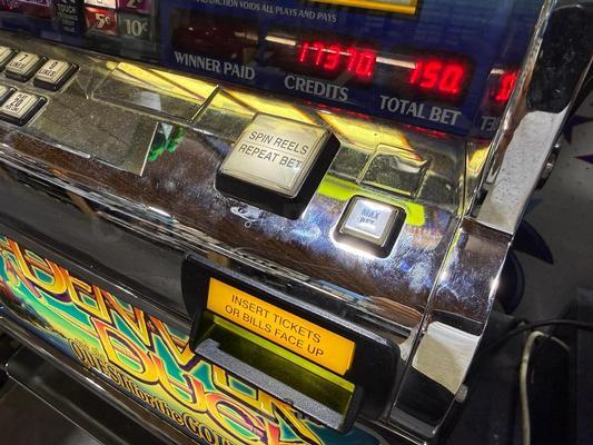 2005 IGT Denver Duck Video Reel Upright Slot Machine Image