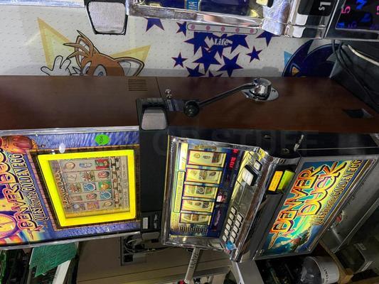 2005 IGT Denver Duck Video Reel Upright Slot Machine Image